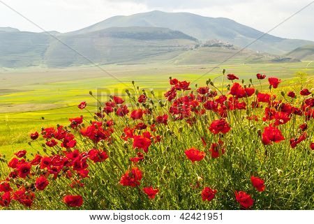 Krajina klavírní Castelluccio Di