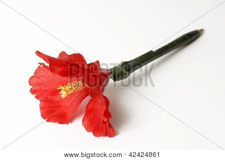 rote Blume-Stift