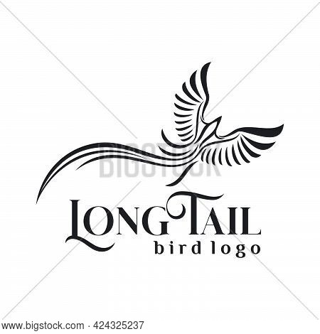 Long Tail Bird Logo Exclusive Design Inspiration