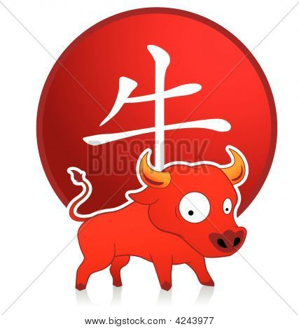 Bull divertenti