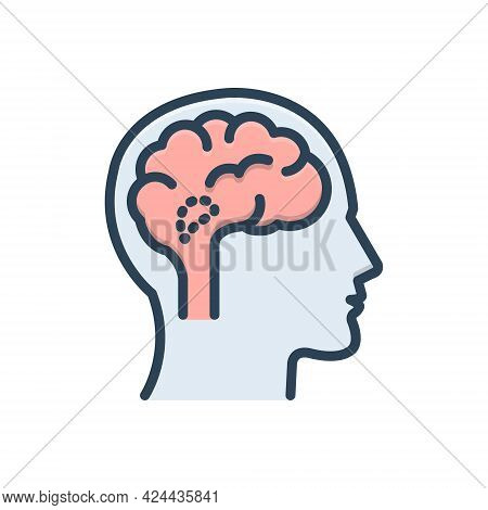 Color Illustration Icon For Hypothalamus Endocrine Brain Cerebellum Medical Anatomy