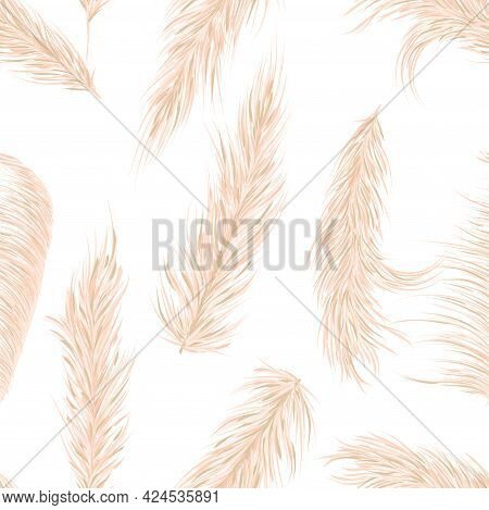 Dry Pampas Grass Seamless Vector Pattern. Boho. Vector Illustration.