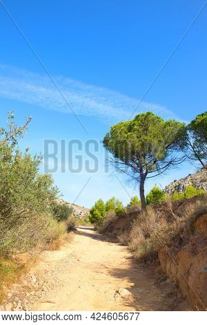Hiking trail at Montgri massif