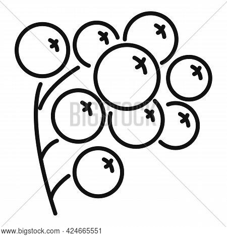 Rowan Forest Berry Icon. Outline Rowan Forest Berry Vector Icon For Web Design Isolated On White Bac