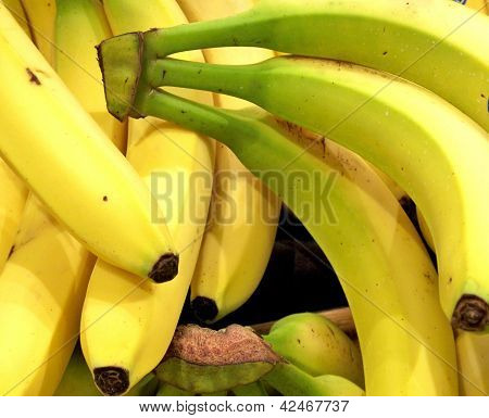 Banány