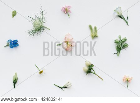 Various fresh flowers pattern on white background