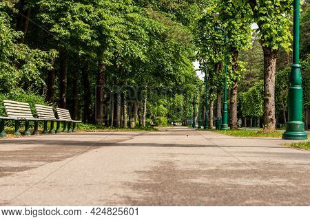 Path In The Forest Park, Riga (mežaparks) At Summer. Low Angle Photo Of Alley In The Park Lined With