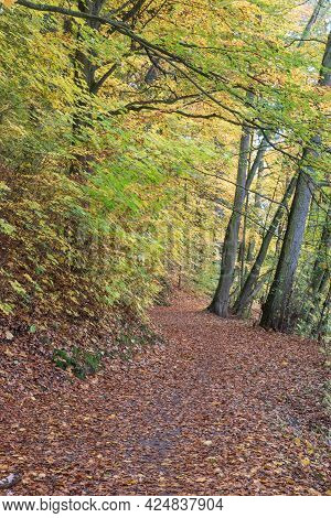 A Little Walkway Between Schwandorf And Fronberg In Bavaria, Called Schokoladenwegerl