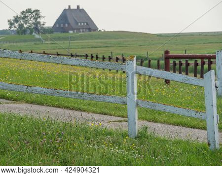 Hallig Hooge and Nordstrand in the north sea