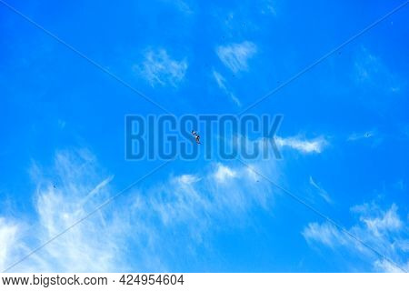 Beautiful Sky Background. Best Natural Sky Clouds.hazy Small Cirrostratus. Beautiful Cirrocumulus An