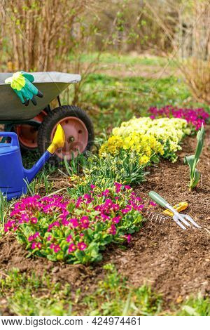 Flowerbed And Gardener Equipment Wheelbarrow Garden Cart, Watering Can, Garden Rake In Garden On Sum
