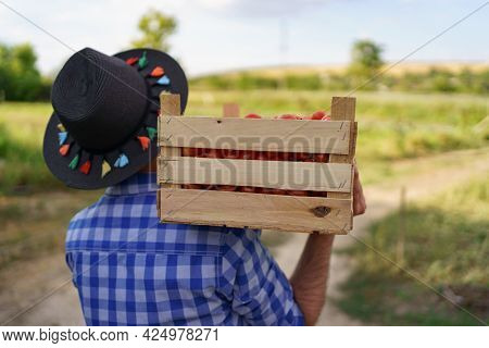 Happy Farmer Holding Harvested Eco Tomatoes Walking With A Full Crate On Hist Shoulders