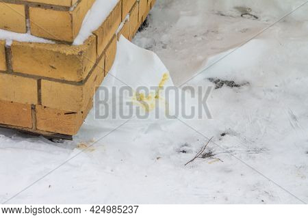 The Dog Was Shitting On The Snow Near The House.