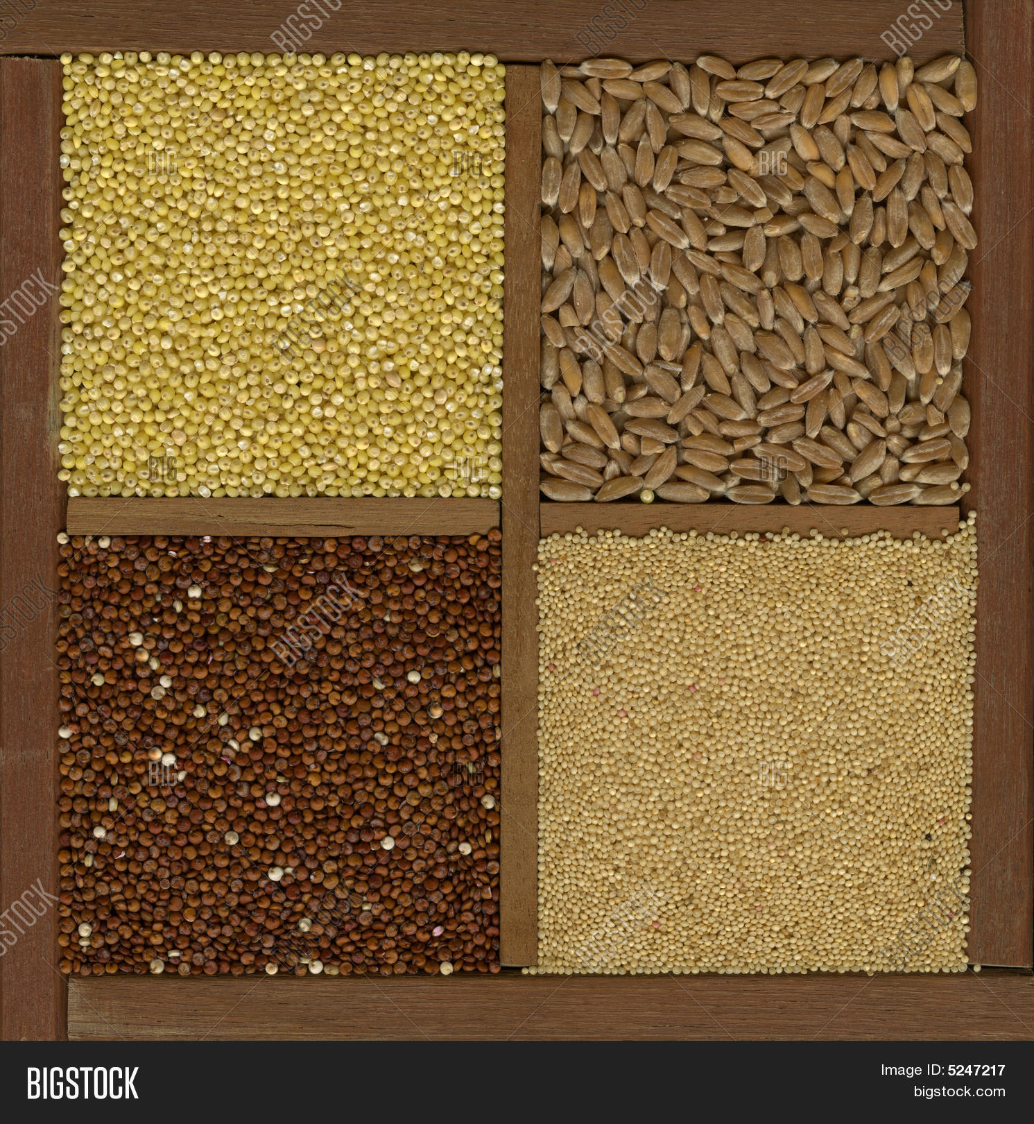 Millet. Spelt, Image & Photo (Free Trial) Bigstock