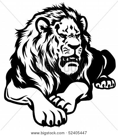 Lion Black White