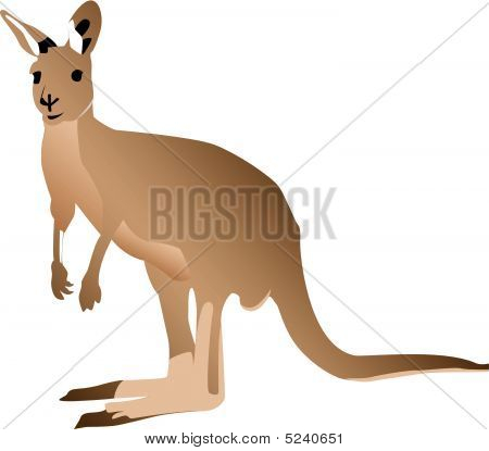 Kangaroo