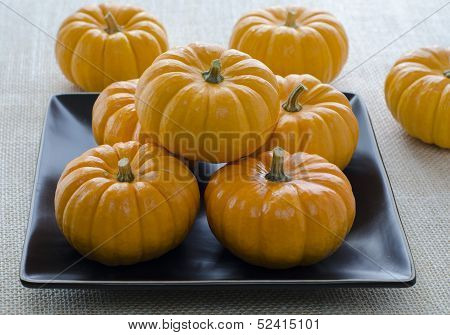 Ornamental Halloween Mini Pumpkins