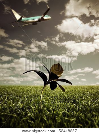 Airplane taking of and a single plant