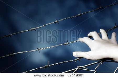 Barbed Wire and a hand