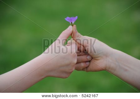Amicizia