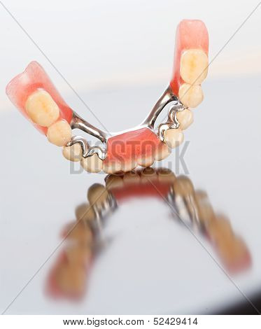 Lower Part Of A Skeletal Prosthesis