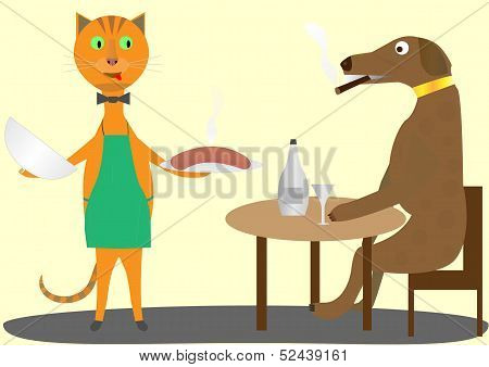 Cat And Dog
