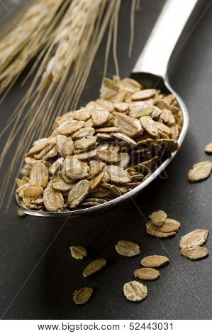 cereals in spoon with wheal