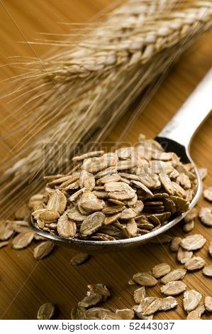 cereals in spoon with wheal