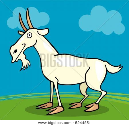 Bauernhof Tiere: Ziege