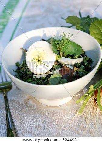 Forår-sommer Weed urter salat til en Picnic