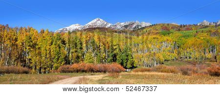 Gunnison national forest