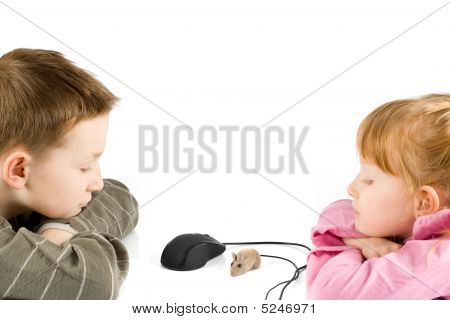 Jeune Boy And Girl Looking At souris