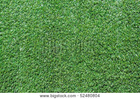 Turf  Grass Texture And Surface