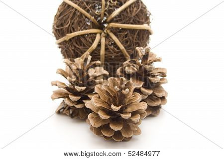 Pine plugs with straw ball