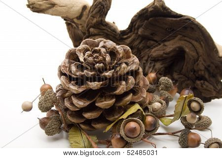 Acorn wreath with pine plug