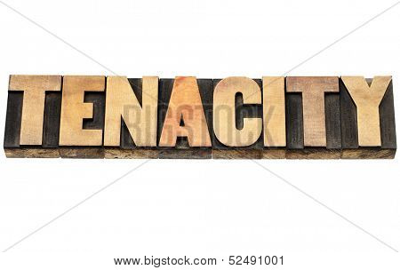 tenacity word - isolated text in vintage letterpress wood type