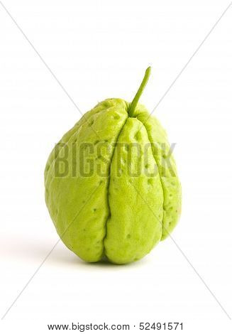 One Chayote Isolated On White