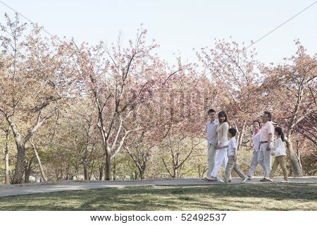Multi-generational family taking a walk amongst the cherry trees
