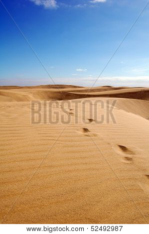 footprints