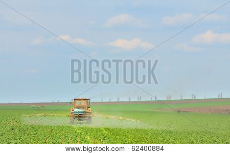 Tractor Fertilizes Crops In The Field