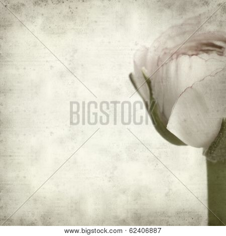 Textured Old Paper Background
