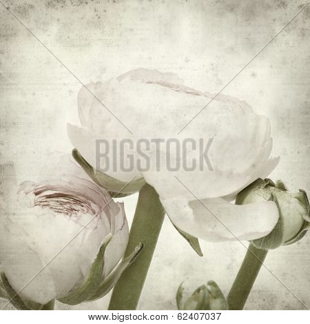 Textured Old Paper Background