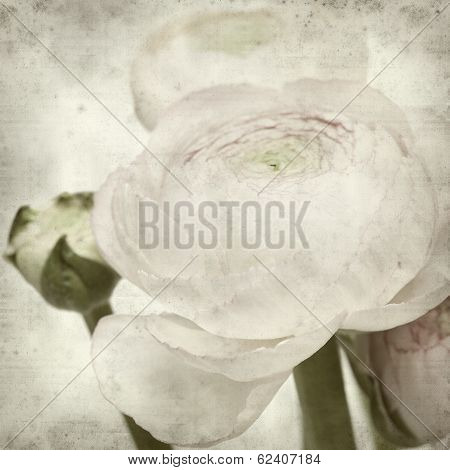 Textured Old Paper Background
