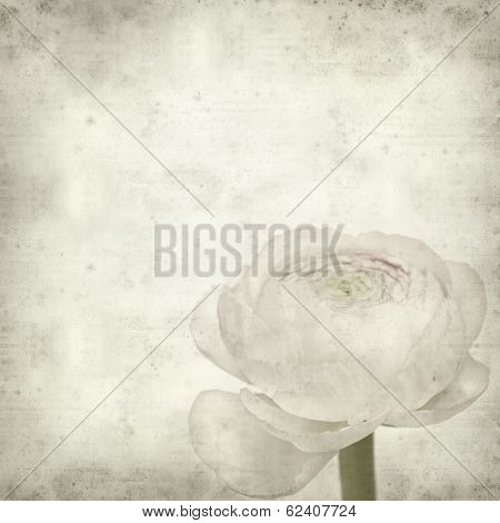 Textured Old Paper Background