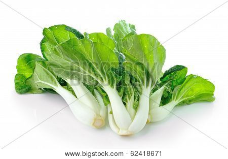 Pok Choi On White Background