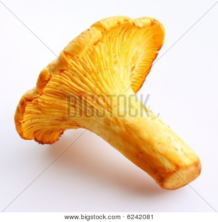 Rebozuelos
