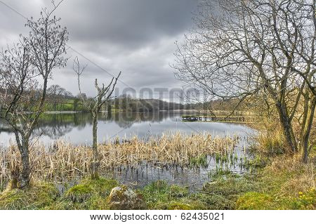 Ireland Landscape
