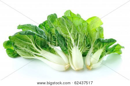 Pok Choi  Vegetable Isolated On White Background