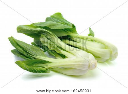 Bok Choi Vegetable Isolated On White Background