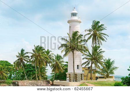 Lighthouse And Palm Trees In The Town Of Galle, Sri Lanka